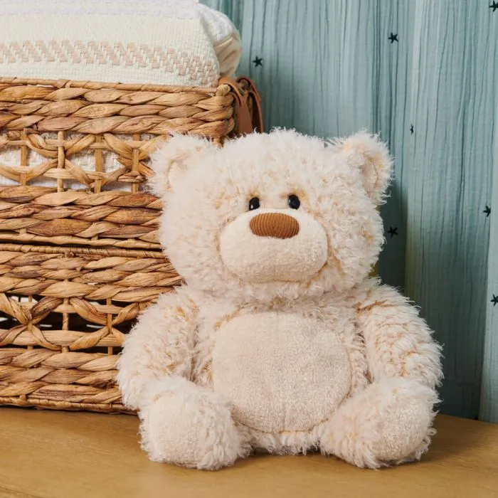 Bubbles Gund Cream Plush Teddy Bear