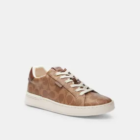 Lowline Luxe Low Top Sneaker