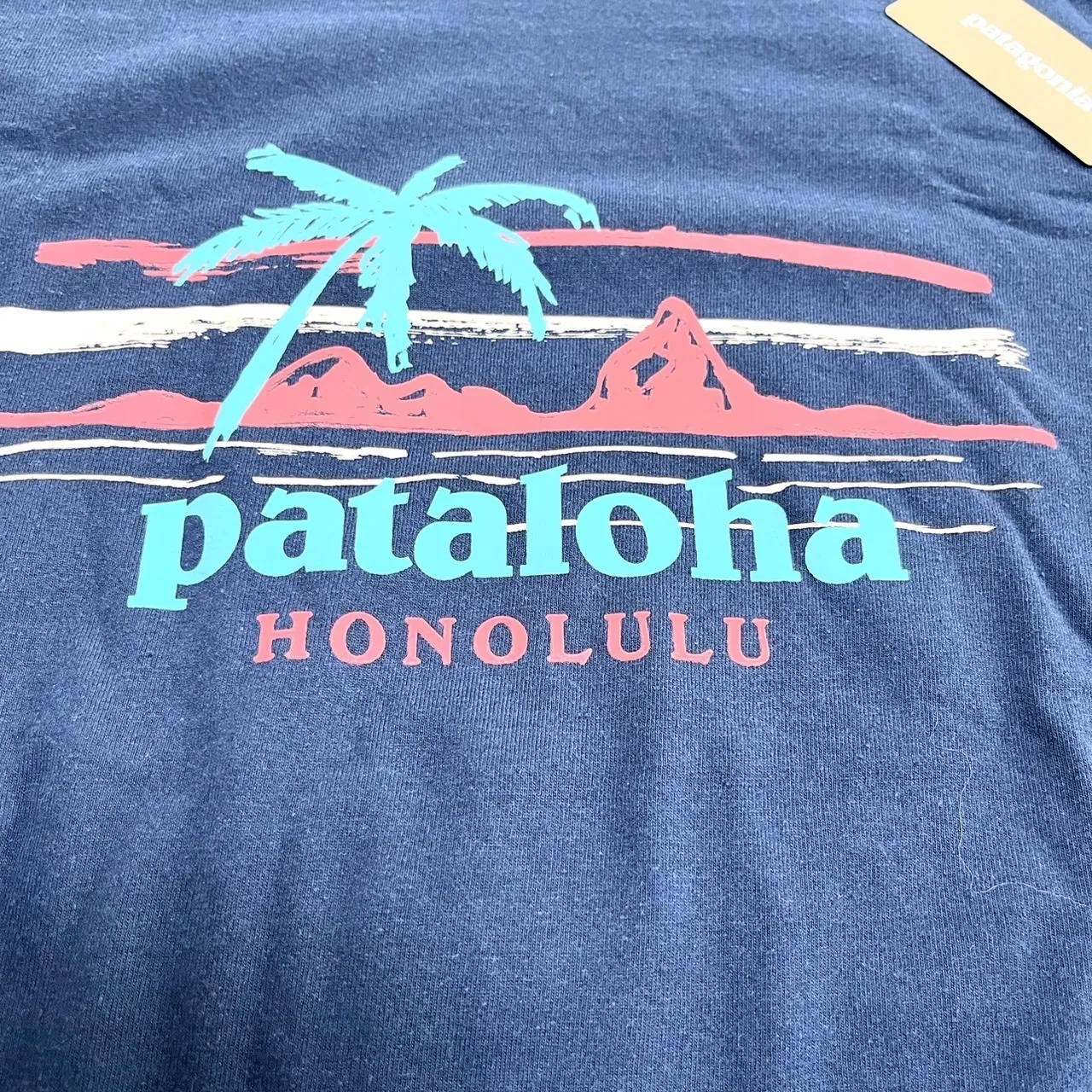 Patagonia  |Logo Outdoor T-Shirts