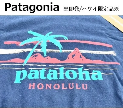 Patagonia  |Logo Outdoor T-Shirts