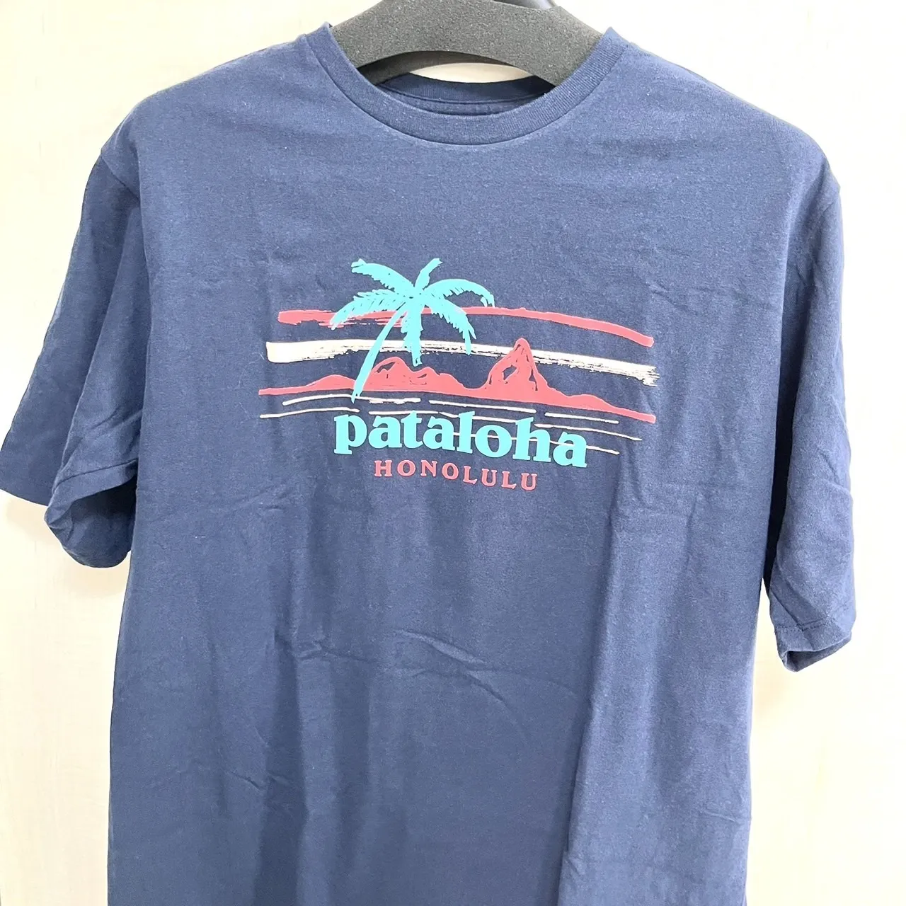 Patagonia  |Logo Outdoor T-Shirts