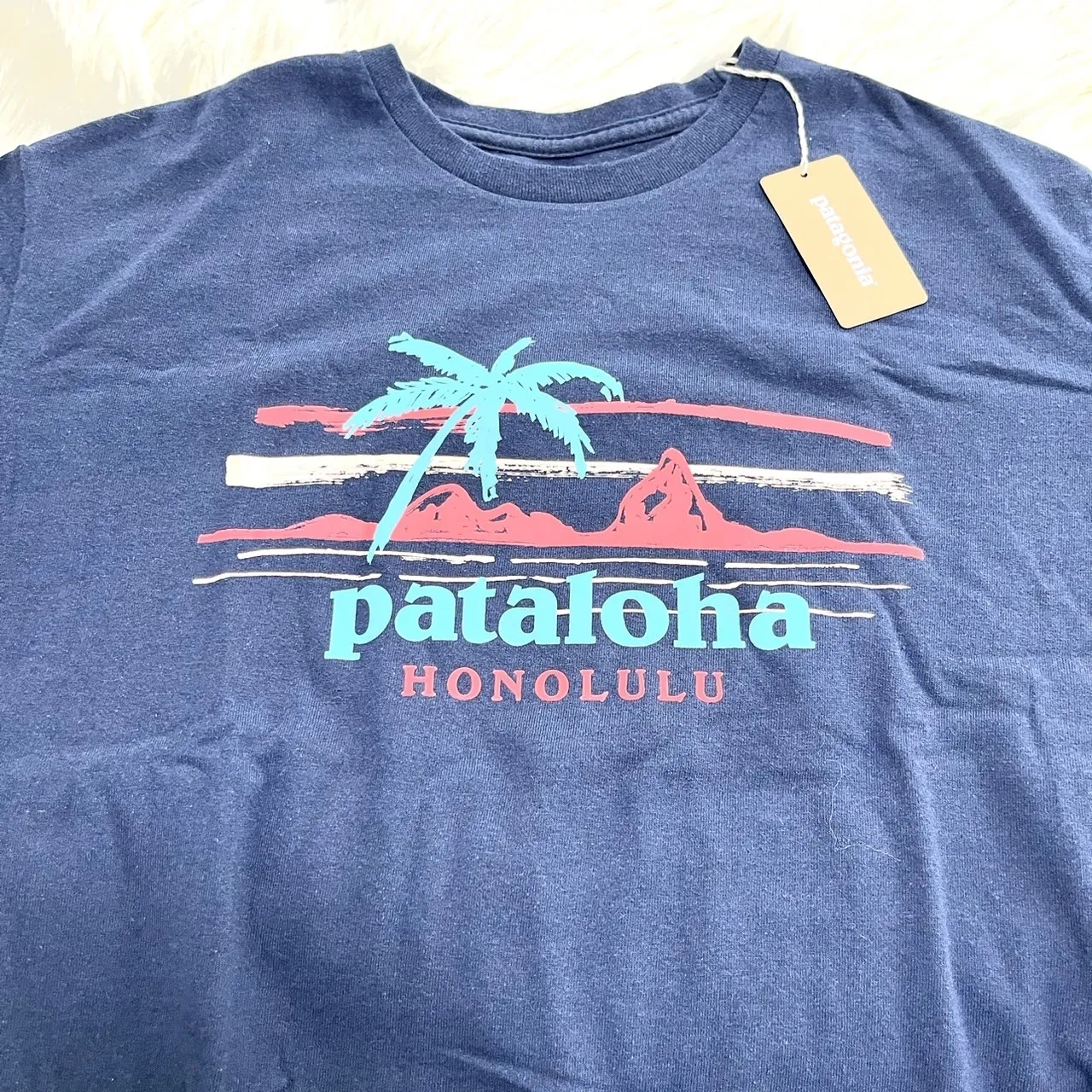 Patagonia  |Logo Outdoor T-Shirts