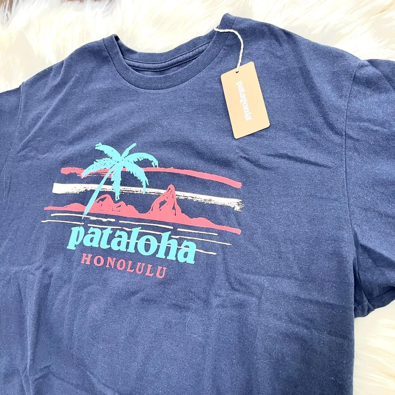 Patagonia  |Logo Outdoor T-Shirts