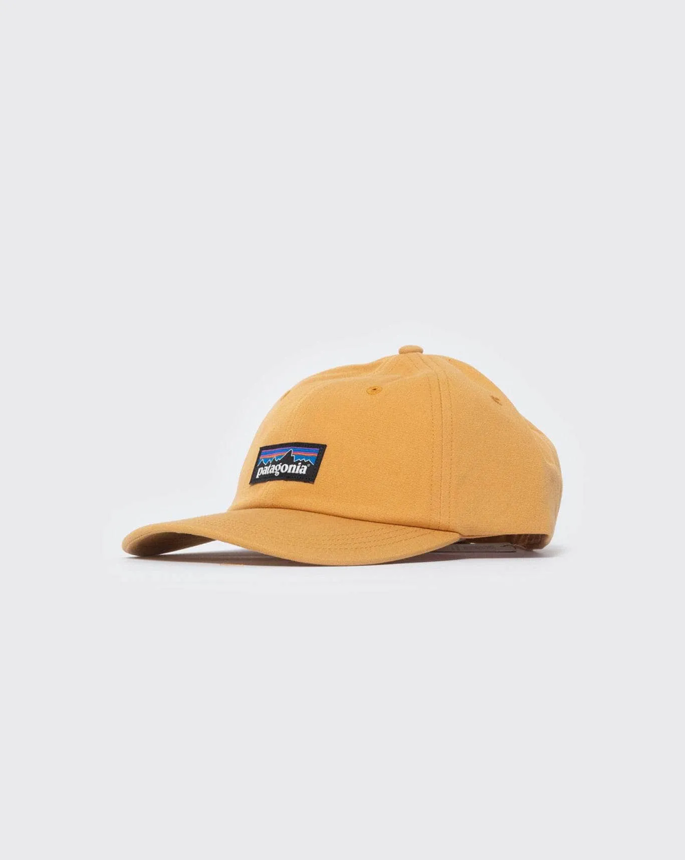 Patagonia P-6 Label Trad Cap