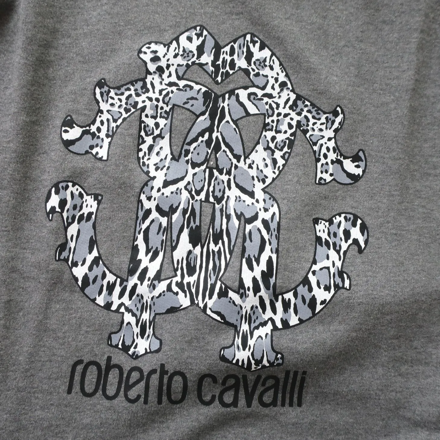 Roberto Cavalli  |Crew Neck Pullovers Long Sleeves Cotton Logo Sweatshirts